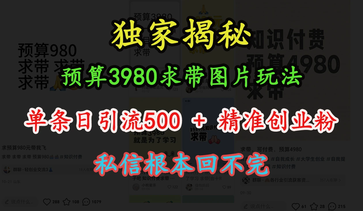 “小红书”预算3980求带 图片玩法，单条日引流500+精准创业粉，私信根本回不完 第1张